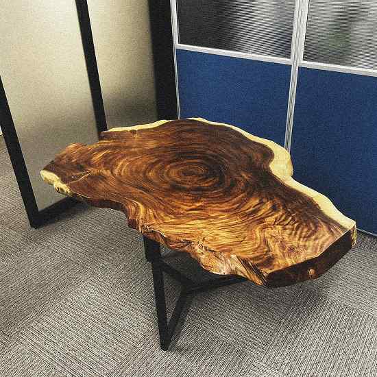 モンキーポッド輪切り一枚板