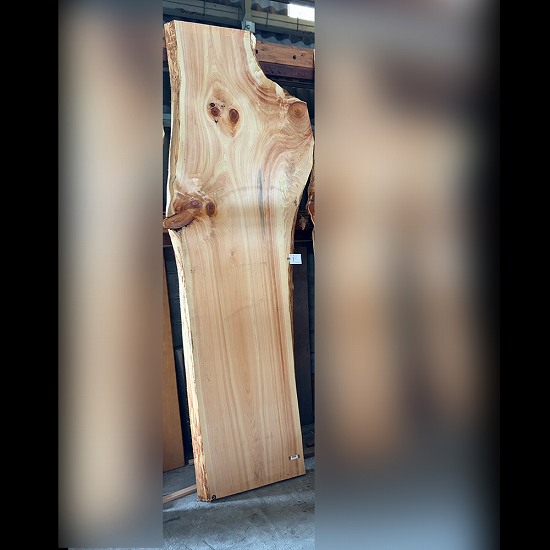 桧一枚板入荷